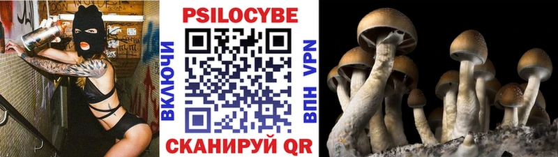 Псилоцибиновые грибы Psilocybe  цена   Крымск 